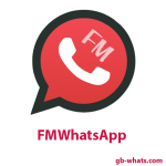 FM WhatsApp logo