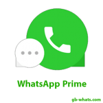 whatsapp prime logo