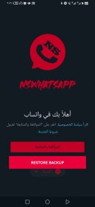 تطبيق NS WhatsApp: عربي إصدار رسمي اغسطس 2025 تحميل واتس اب ان اس ثري دي مجانا 4